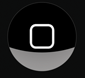 Starter Button